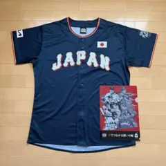 2025エスコン日韓ドリームプレーヤーズゲーム　ユニフォーム ＆クリアファイル