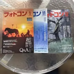 Item thumbnail for item 4e8f9312-6b60-4e13-b848-bb9c012595ef