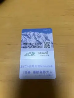 白馬47 ・エイブル白馬五竜 1日券 大人用 エイブル白馬五竜＆Hakuba47 早割1日券[大人]【予約販売】