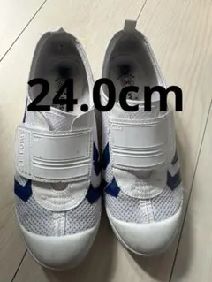 MoonStar 上履き 24.0cm 記名なしのサムネイル