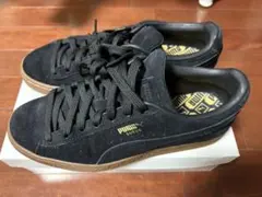 Item thumbnail for item 0b85e406-22a8-49b1-9496-52372f3f97ff