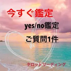 タロット　恋愛占い　yes/noご質問1件 鑑定書付き発送