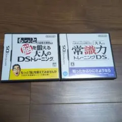 Nintendo DS ソフト 2本セット