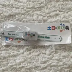 SnowMan 湾岸LIVE ペンライト ペンラ