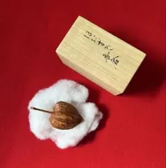 Item thumbnail for item 30977360-a39c-4029-a0f0-35b8fd61b7d0