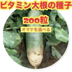 Hawaian Famer様 リクエスト 2点 まとめ商品