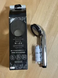 Item thumbnail for item 753745d1-93c0-4e7b-9969-75096f0dd18d