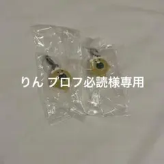 りん プロフ必読様専用ページ