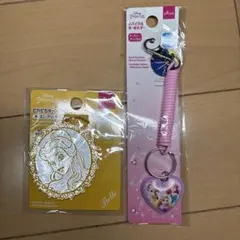 DAISO ダイソー　ディズニー　プリンセス　新品　2種セット