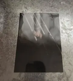 スキズ　ラントレ　スンミン ワルツ　dominATE