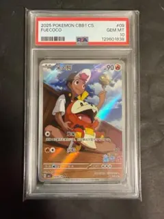 2025年最新】ポケモン ホゲータ arの人気アイテム - メルカリ