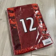 新品未開封♡ファジアーノ岡山 タオル J1 サッカー