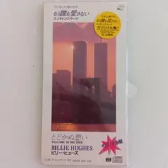 ビリーヒューズWELCOME TO THE EDGE　ドラマエンディング