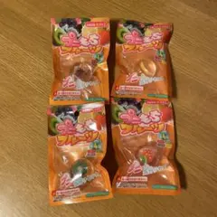 プニもちフルーツ スクイーズ　いちご　ぶどう　レモン　キウイ　4種 コンプリート