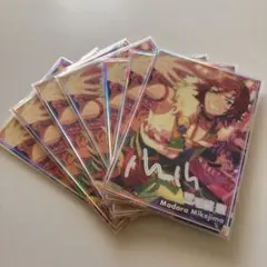 三毛縞斑 虹色開花ポートレート フィーチャースカウト Collection A