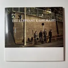 エレファントカシマシ 1998年 ツアーパンフレット 「風に吹かれて 