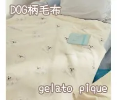 ジェラートピケ【Sleep】DOG柄プリント毛布【マルチーズ】