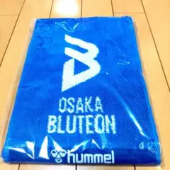 大阪ブルテオン スポーツ選手