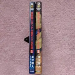 【送料込】コミック「機動戦士ガンダム戦記 完全版」全２巻セット
