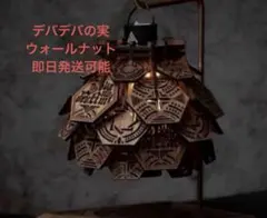 新品未使用 DEVISE WORKSxWHAT WE WANT デバデバの実　黒 デバデバの実 DEVISE WORKSxWHAT WE WANTデバイスワークス