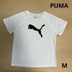 【美品】PUMA 半袖Tシャツ
