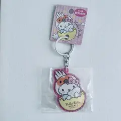 ご当地 ハローキティ 朱鷺（トキ）新潟佐渡限定アクリルキーホルダー