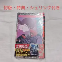 チェンソーマン 単行本　13巻　アニメイト　特典　初版　イラストカード