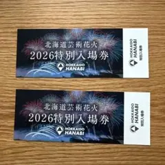 モエレ沼芸術花火　2021 特別入場券 2026年最新】モエレ沼花火大会の人気アイテム - メルカリ