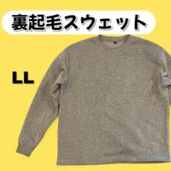 未使用 裏起毛グレースウェット LL 暖かく着回せる定番無地