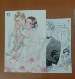 桐生律師的XL尺寸的愛法 3 TSUTAYA特典 插畫卡&紙張