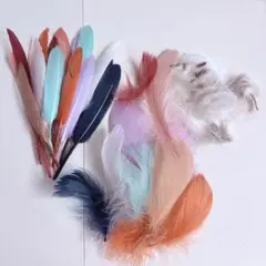 カラフル フェザーセット