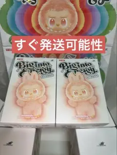 正規品・未開封】Labubu Big into Energy 2箱