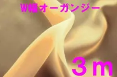 Item thumbnail for item 489e2d3e-aad0-4d0c-af51-6697c962fb90