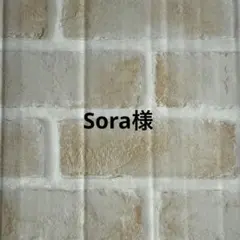 Sora様　子供用立体不織布マスク　使い捨て　個包装　110枚