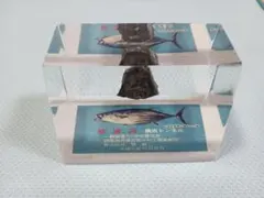 到達石 横浜トンネル 置物 記念品