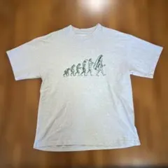 NIKE Evolution SNEAKER EVLTN TEE グレー　L