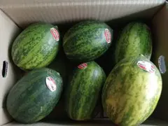 パパイヤメロン6玉入のサムネイル