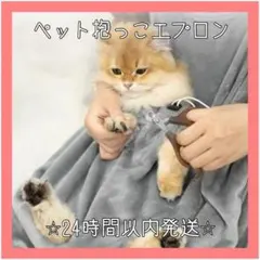 Item thumbnail for item 1c46d2d7-2184-499e-b23e-ec38b0d553cd