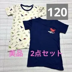 トップバリュ⭐︎恐竜柄あったか下着 2点セット120cm