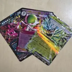 ポケモンカードメガドリームexセット