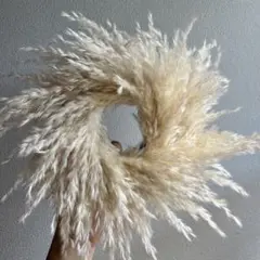 ♡新作♡パンパスグラス　ミニリース　ドライフラワー