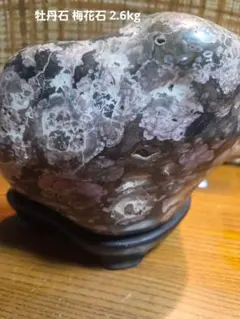 送料無料　鑑賞石愛好家蒐集品　山水画のような石　豚肉石　鑑賞石 天然石 盆石 ♯鑑賞石の値段と価格推移は？｜7487件の売買データから♯鑑賞石