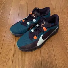 Nike フリーク5