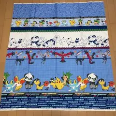 ポケットモンスターXY 生地 ポケモン レア レトロ 廃盤 希少