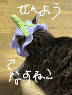 専用ぺぇじ