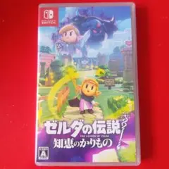 NintendoSwitch ゼルダの伝説 知恵のかりもの