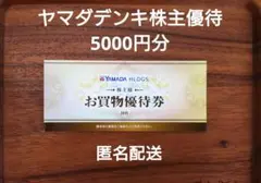 ヤマダ電機（ヤマダデンキ）株主優待券（お買物優待券）5000円分