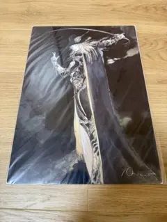 2025年最新】天野喜孝 黒衣の剣士の人気アイテム - メルカリ