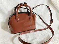 【 ZARA 】 ミニショルダーバック
