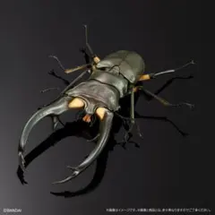 いきもの大図鑑アドバンス『エラフスホソアカクワガタ (グリーン)』